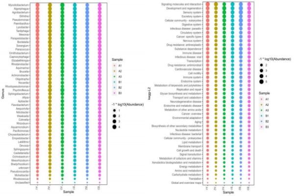 物種-功能-Bubble圖
