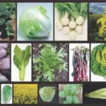 【項目文章】百邁客NG文章搶先看