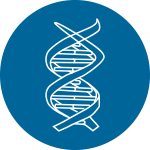 繪制GO、KEGG分類富集圖