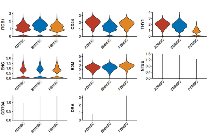 圖1從3個供者匹配的組織來源分離的馬間充質基質細胞（MSCs）的表征