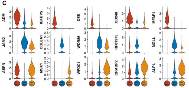 圖2單細胞RNA測序（sc?RNAseq）數據揭示了馬間充質基質細胞（MSCs）的源間變異