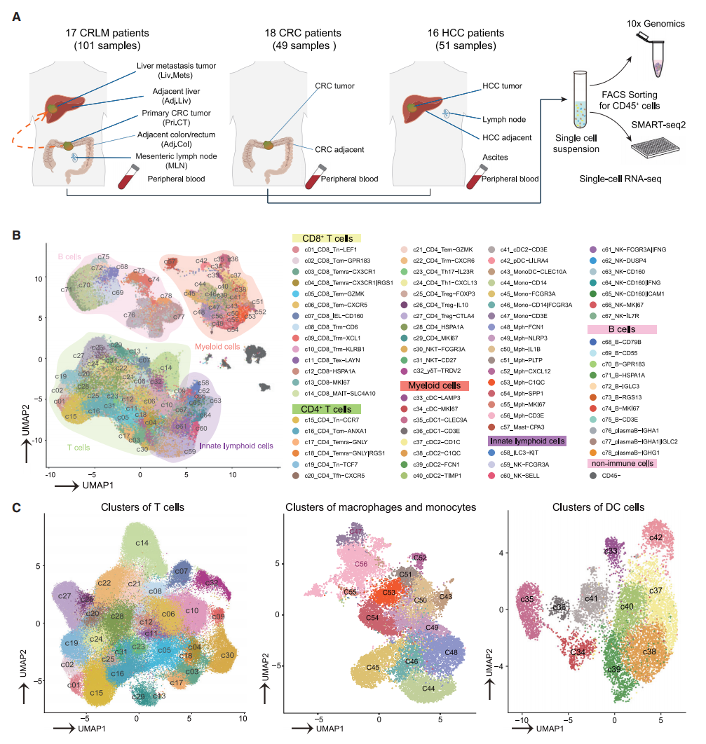 圖1 CRLM、HCC和CRC不同的免疫特征