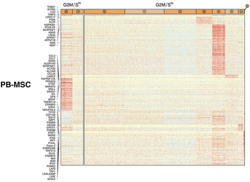 圖5從3個供體匹配組織來源分離的馬間充質基質細胞（MSCs）表現出源內轉錄異質性
