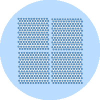 三圖合一：實現精準的單細胞分割