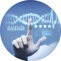 S1000-ONT 空間全長轉錄組