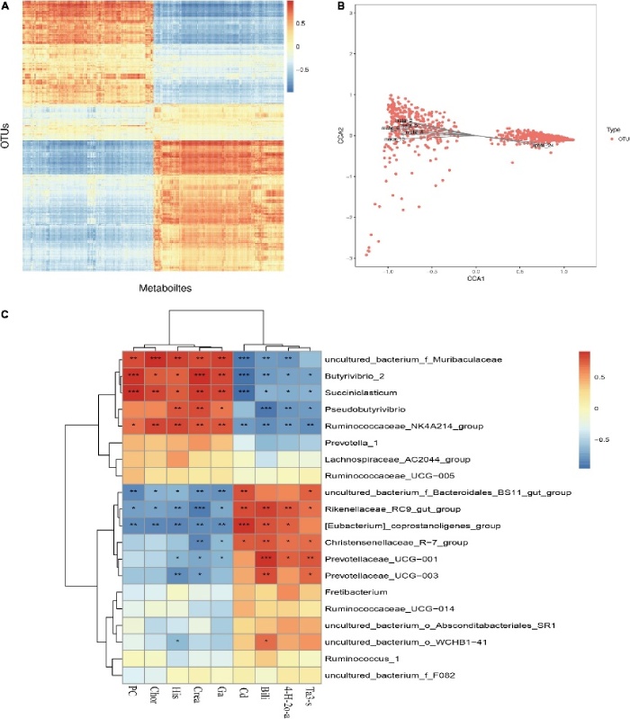 文章案例：瘤胃微生物和代謝物的相關性分析