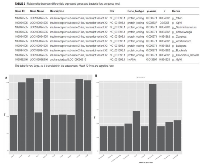 黃河鯉新品種和對照組 DEGs 與細(xì)菌(屬水平)的關(guān)系