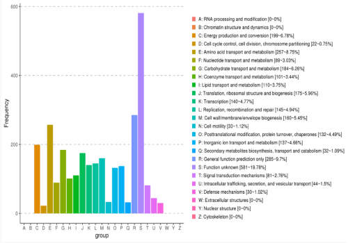 eggNOG功能基因功能分類統計圖 eggNOG功能基因功能分類統計圖