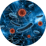 PCR產(chǎn)物測序